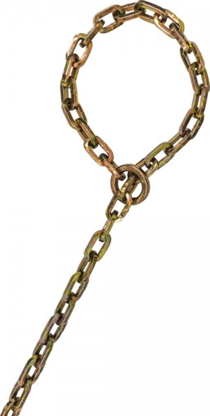 Abus Kette Chain 9KS250 loop