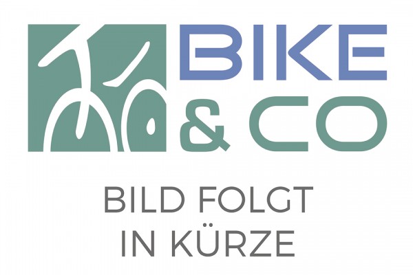 KMC Fahrrad Kette X-11-SL Kompatibilität: 11-fach | SB-Verpackung | gold | 118 Glieder