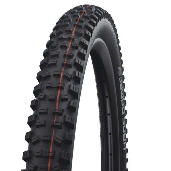 SCHWALBE Fahrradreifen Hans Dampf Evo ADDIX HS 491 29 Zoll | ETRTO: 60-622 | Falt | SnakeSkin | schw